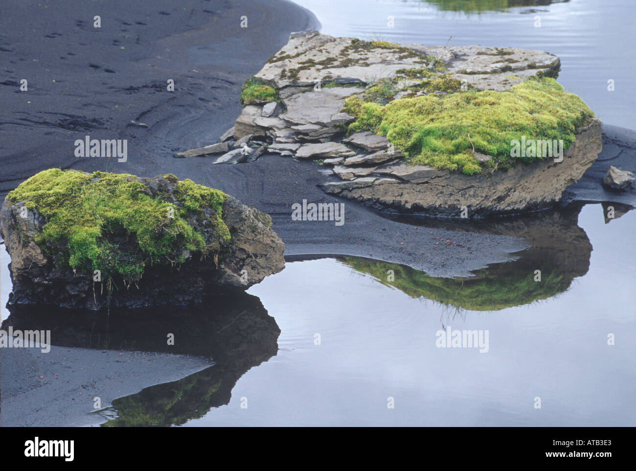 Moss covered rocks reflected in pool Eldgja Iceland Stock Photo