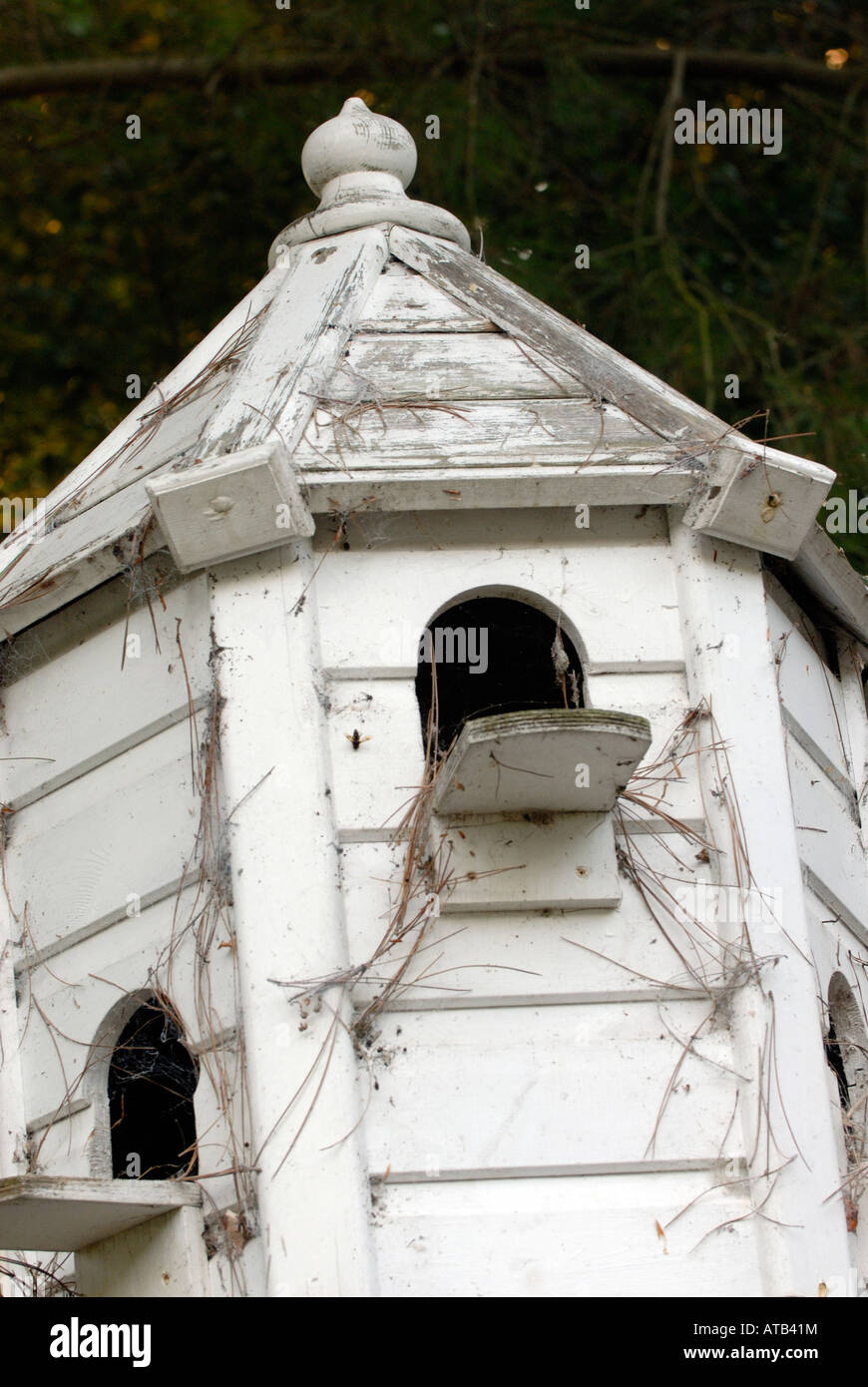 garden dovecote for nesting birds doves and pigeopns collared fancying
