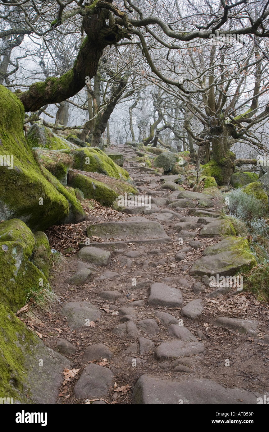 Footpath through ancient oak wood Padley Gorge Derbyshire Peak District Stock Photo