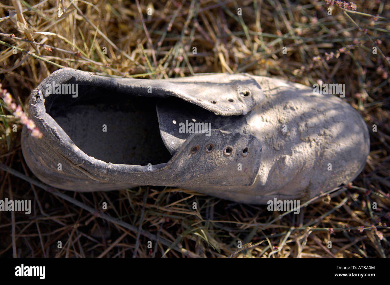 discarded old shoe cyprus abandoned one solitary no laces lost sunlight grassland arid dry Stock Photo