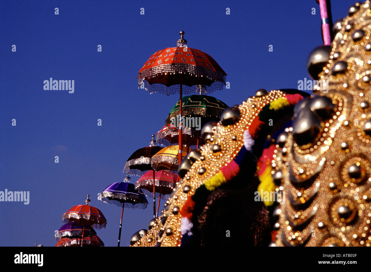 Richly caparisoned adorned elephants carrying decorative umbrellas