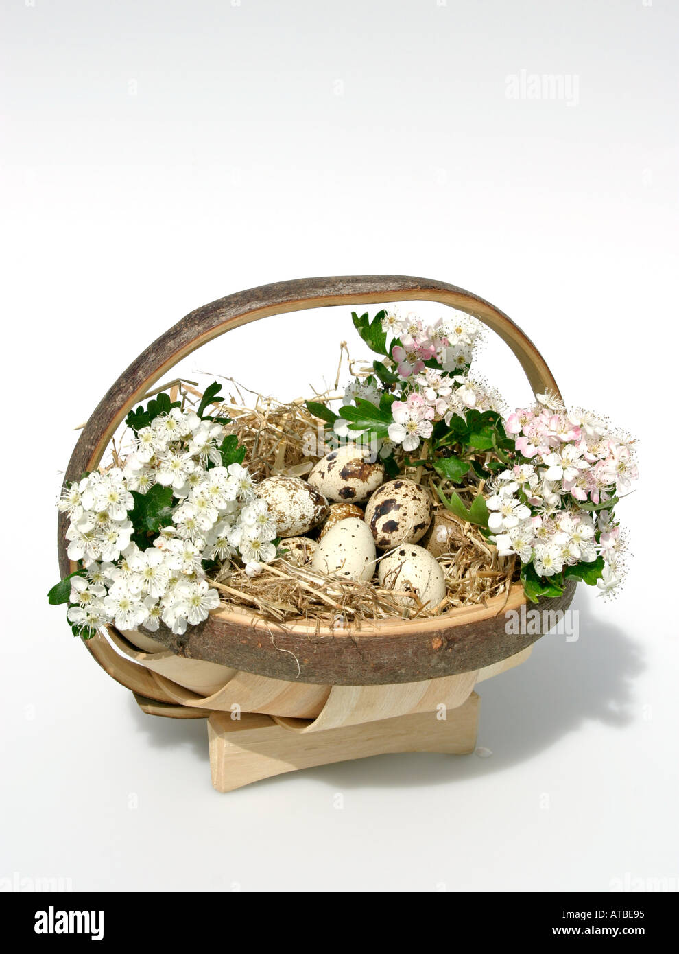 Country living. Celebrations for Easter and Spring with a hay lined basket  full of quail eggs and hawthorn blossom. Stock Photo