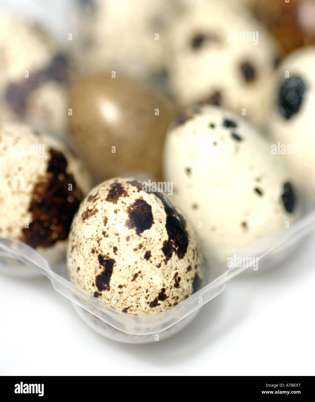 Speckled Quail eggs, with beautiful random patterns Stock Photo