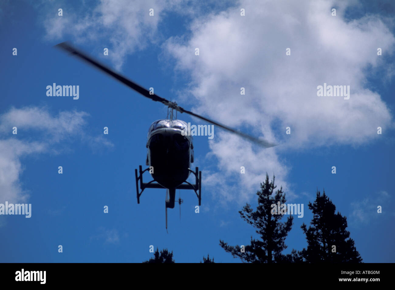 Helicopter landing at Greenwood Ridge Vineyards near Philo Mendocino County California Stock Photo
