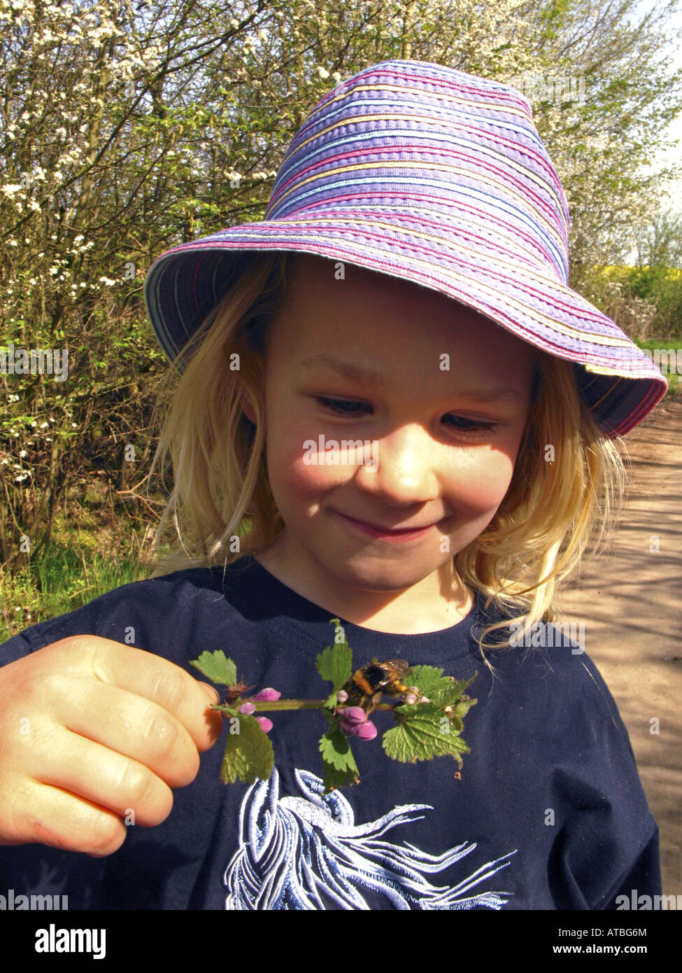 girl watching a bumble-bee on a deadnettle Stock Photo