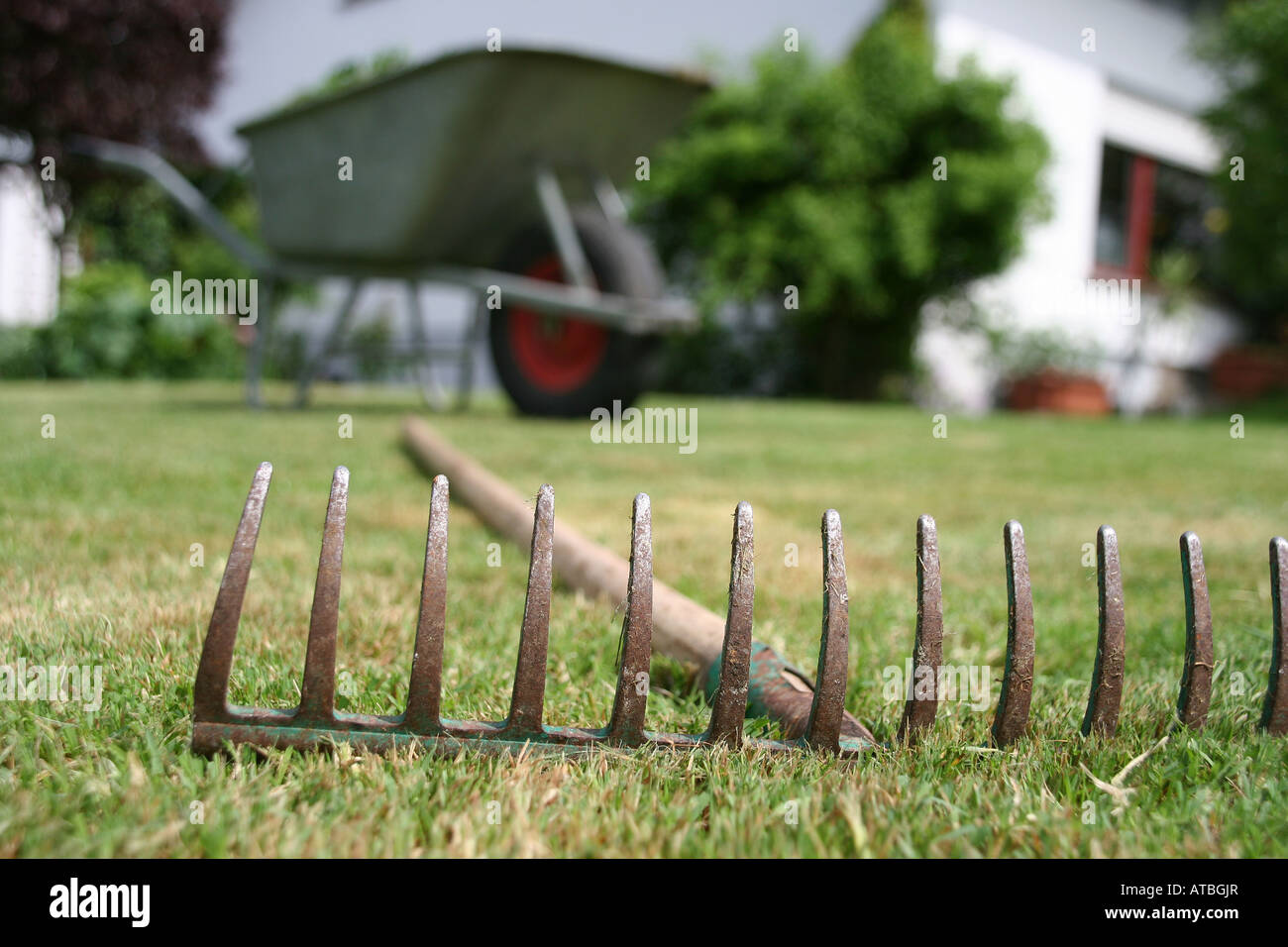 Person steps on rake in the garden Stock Photo Alamy