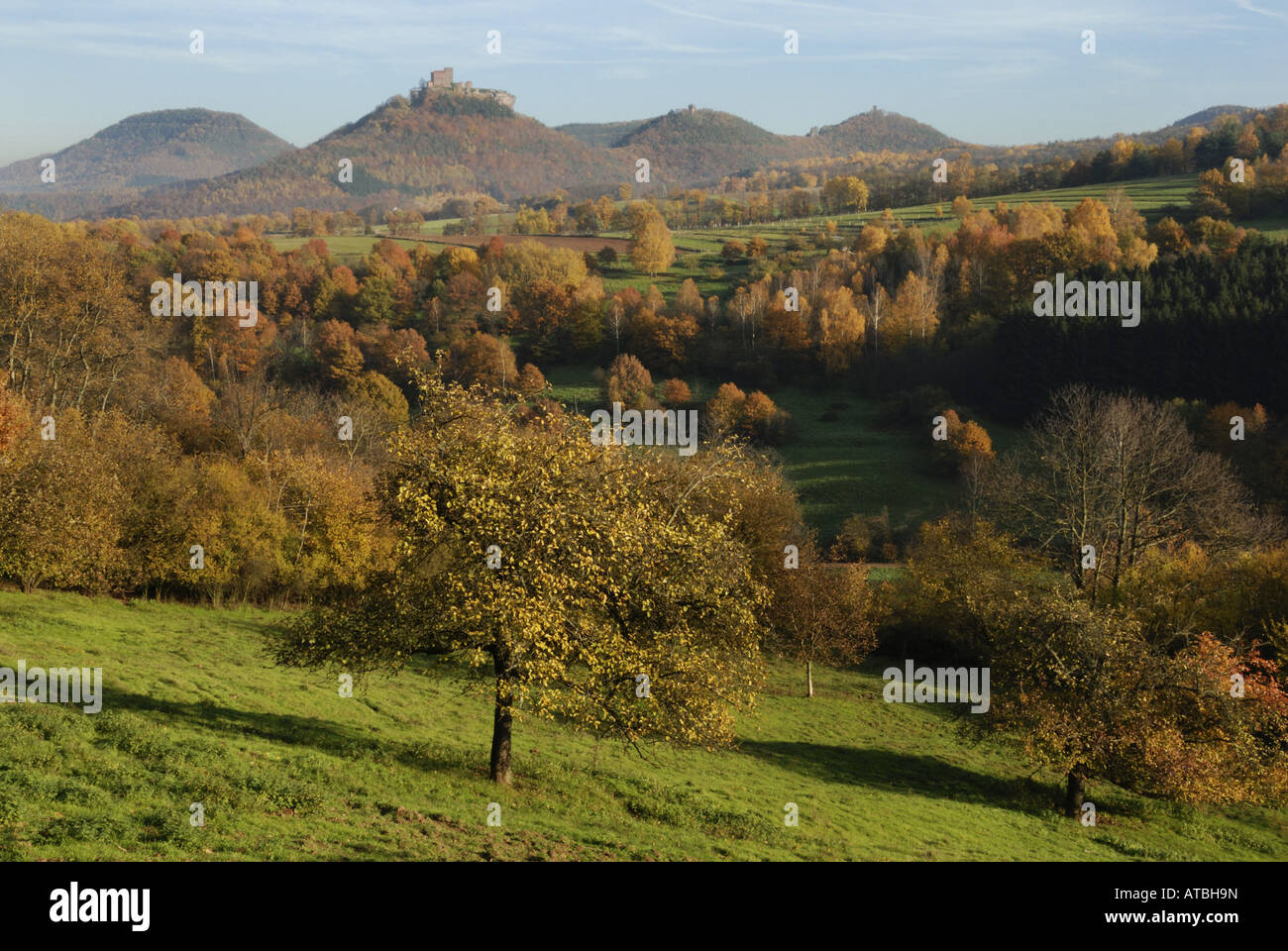 The palatinate forest hi-res stock photography and images - Alamy