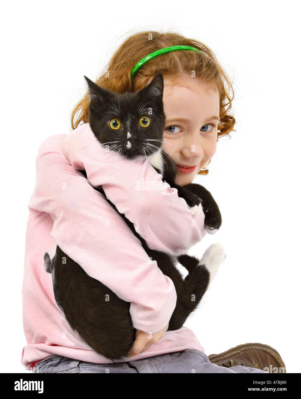 domestic cat, house cat (Felis silvestris f. catus), domestic cat in