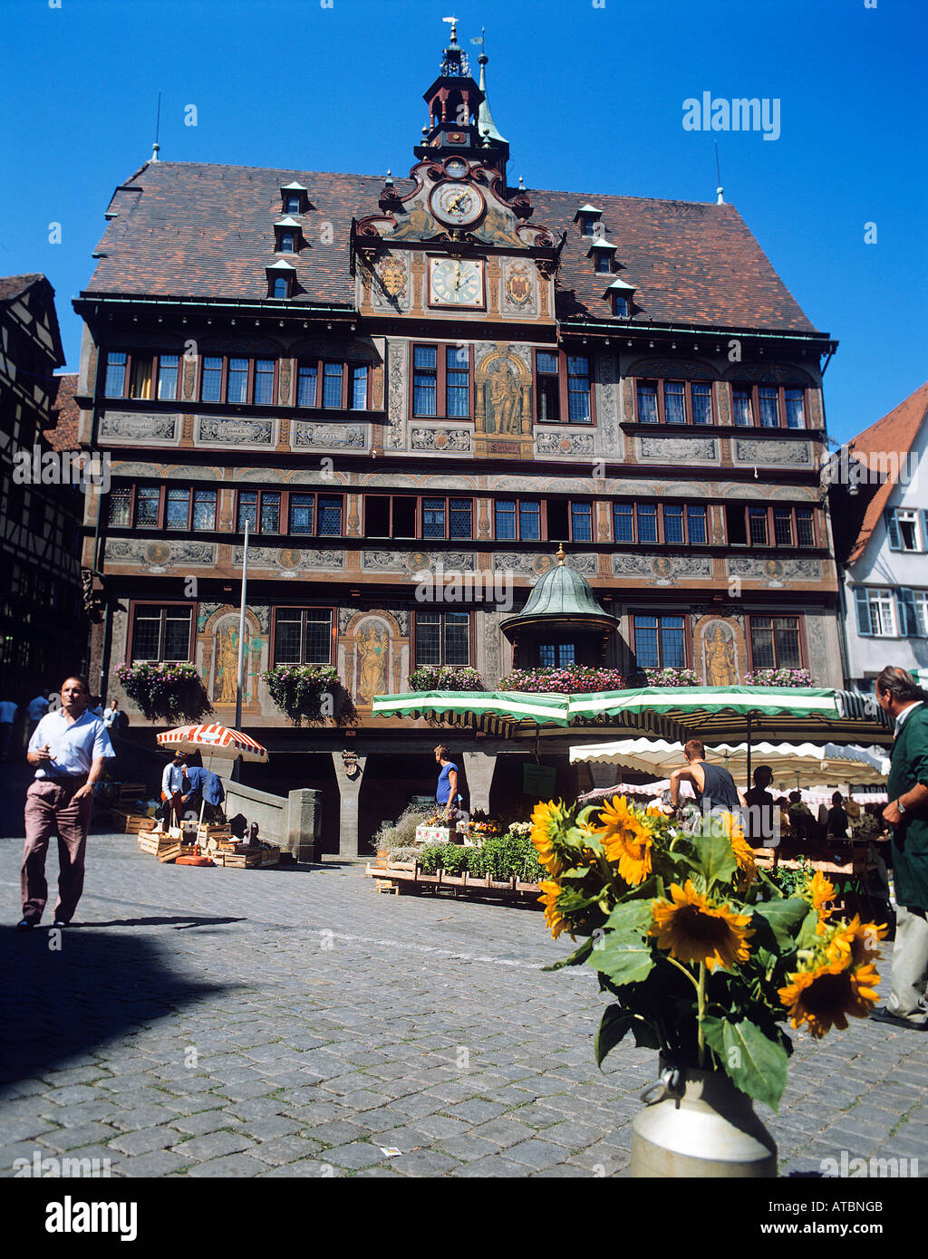 Viewed beyond a pot filled with large sunflowers in the central Marktplatz the much restored 15th century Rathaus Town Hall in the town of Tubingen Stock Photo