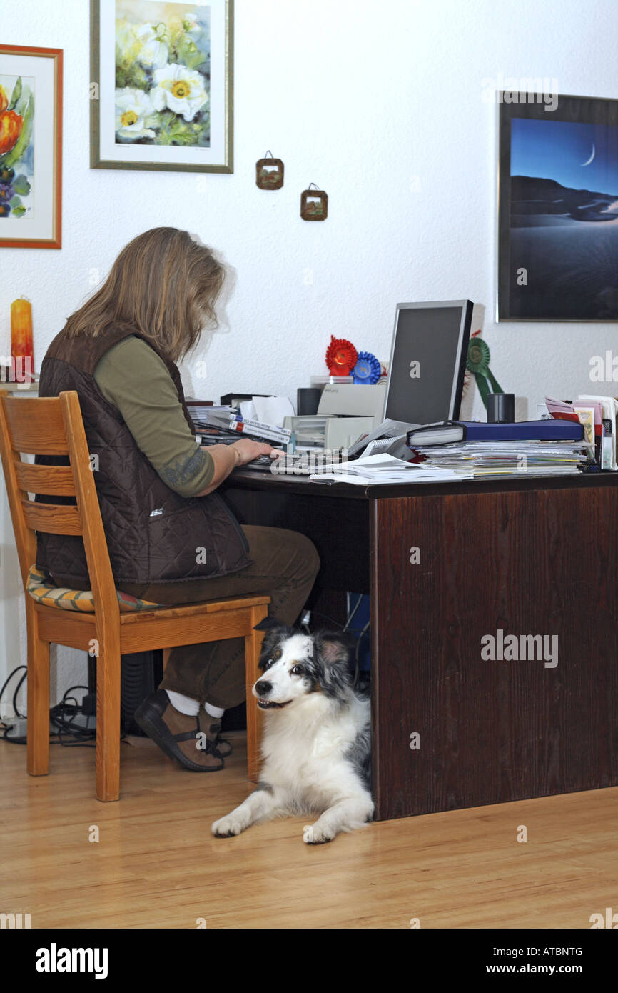 Australian Shepherd Canis Lupus F Familiaris Woman Sitting At