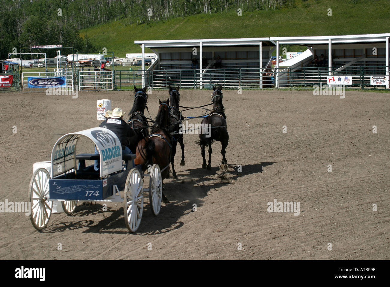 CHUCK WAGONS; Rodeo, Alberta, Canada, Chuck wagon racing, Stock Photo