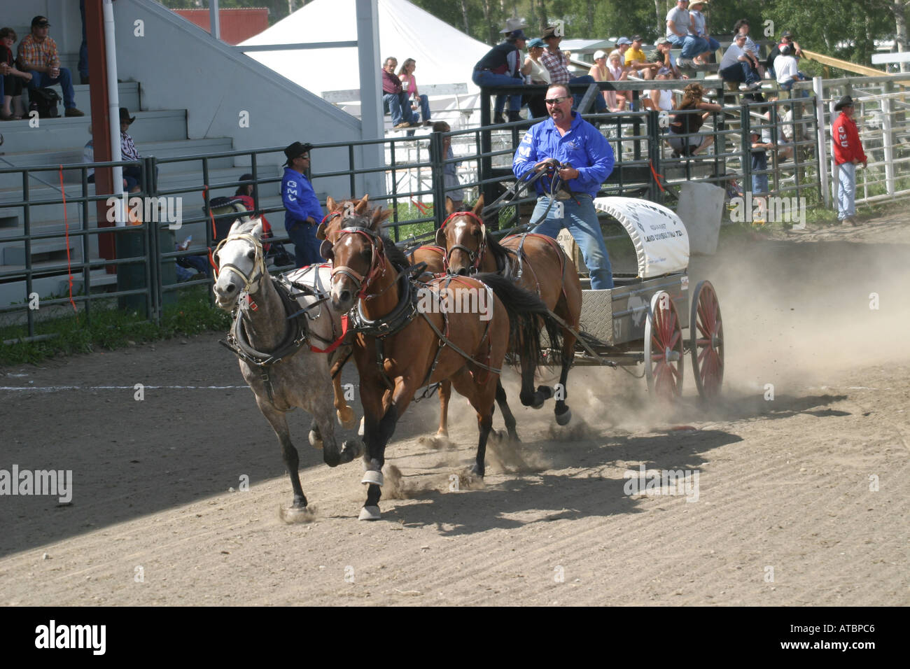 CHUCK WAGONS Rodeo, Alberta, Canada, Chuck wagon racing Stock Photo Alamy