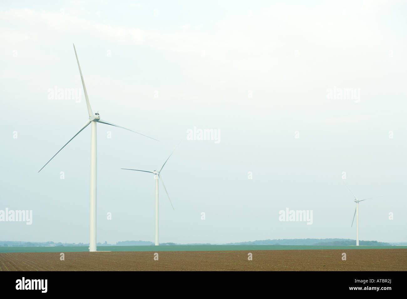 Wind turbines in field Stock Photo