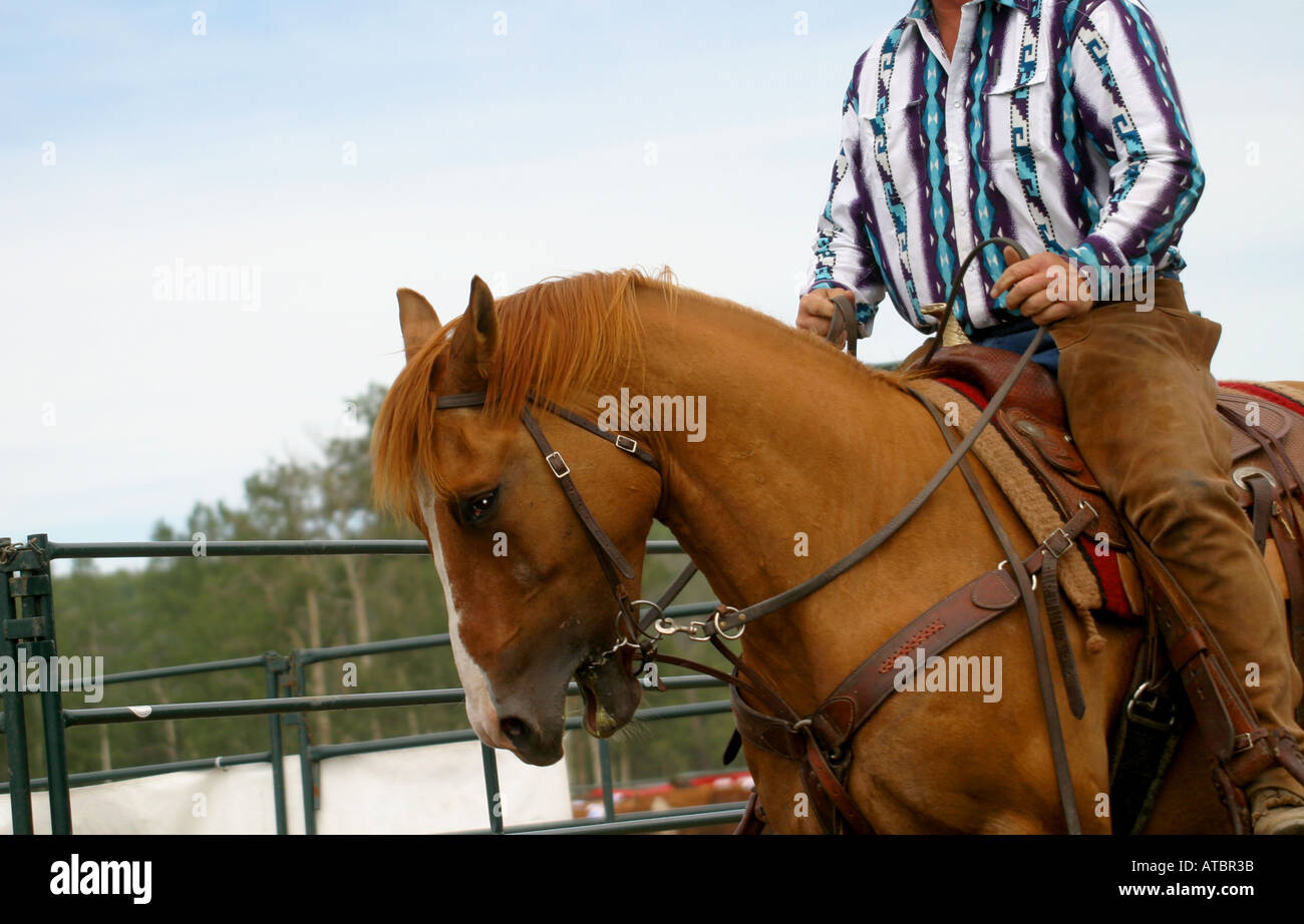 Black tears horse hires stock photography and images Alamy