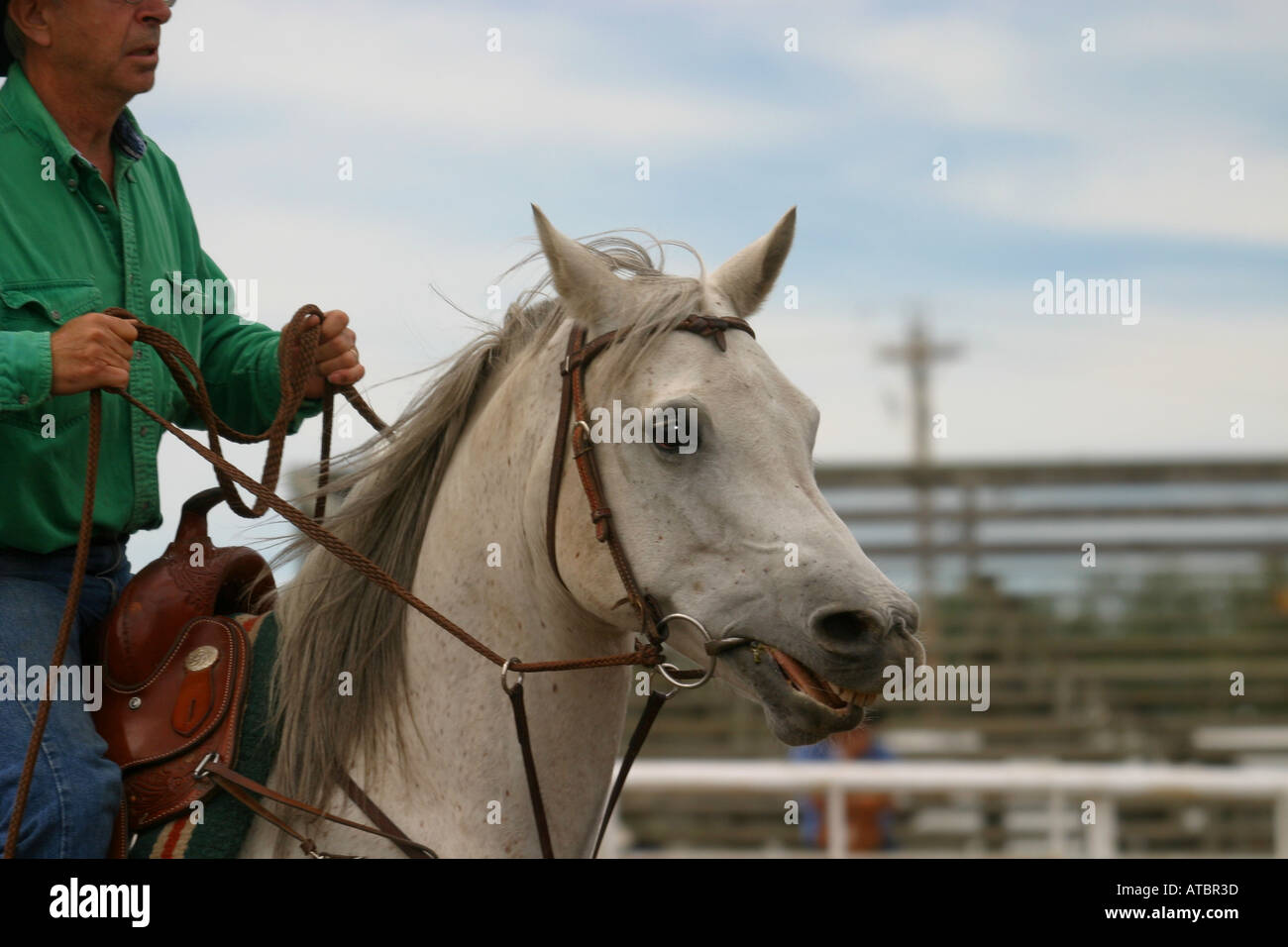 Black tears horse hires stock photography and images Alamy