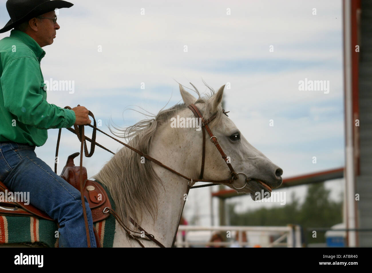 Black tears horse hires stock photography and images Alamy
