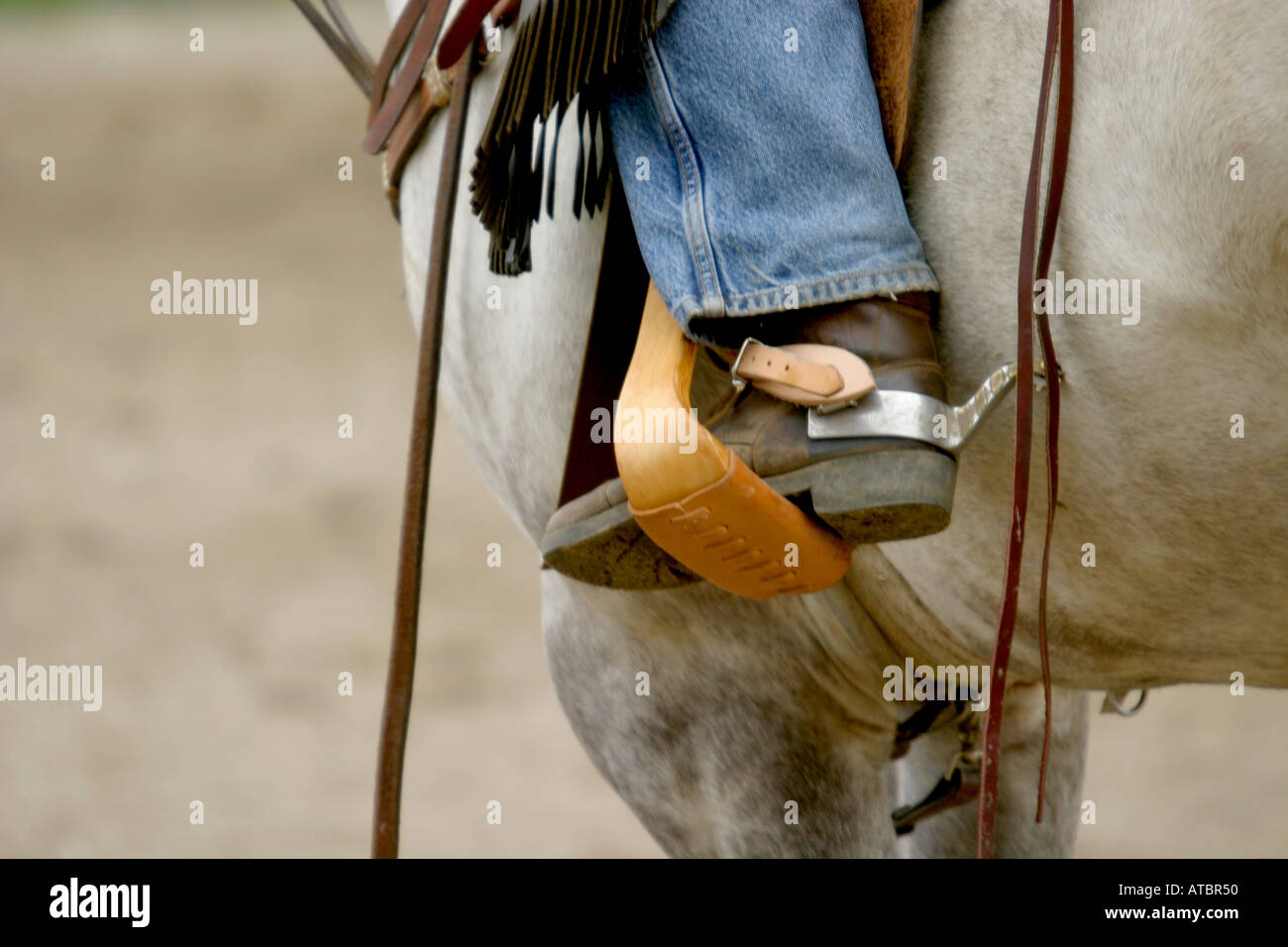 CATTLE PENNING; horse and rider boot spur stirrup Stock Photo Alamy