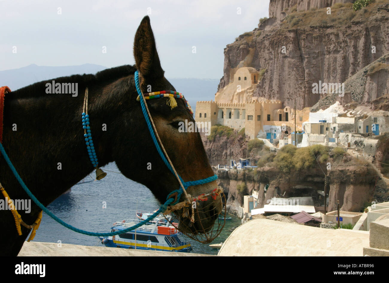 Donkey on the steps at Fira harbour Santorini Stock Photo Alamy
