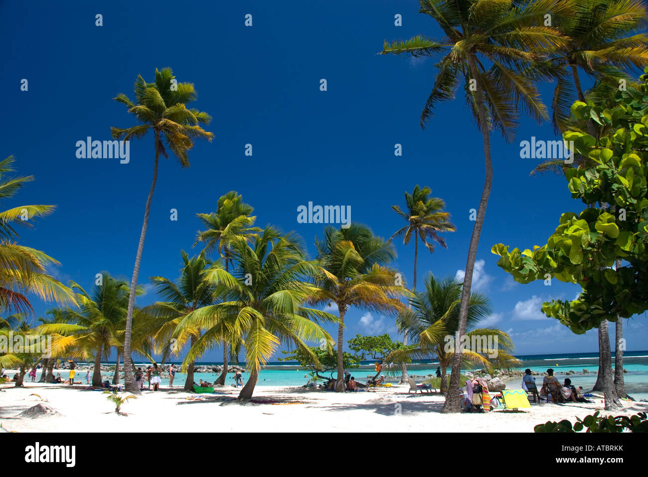 Guadalupe beach palm trees, paradise, tropical island, white sand, blue sky, summer, holiday, vacation, relax, caribean Stock Photo