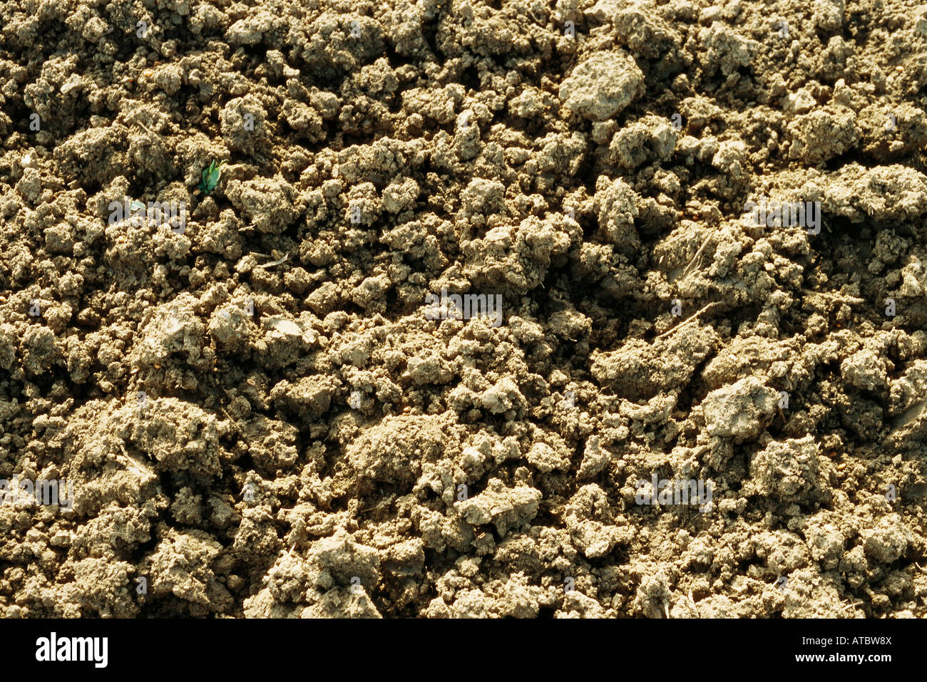 Loose sands hires stock photography and images Alamy