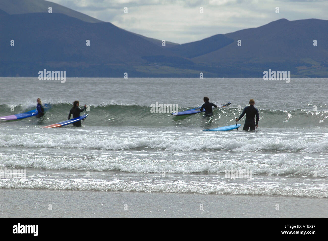 Family play time on the huge beach of INCH where cars can be parked while swimming or surfing Co Kerry Ireland Stock Photo