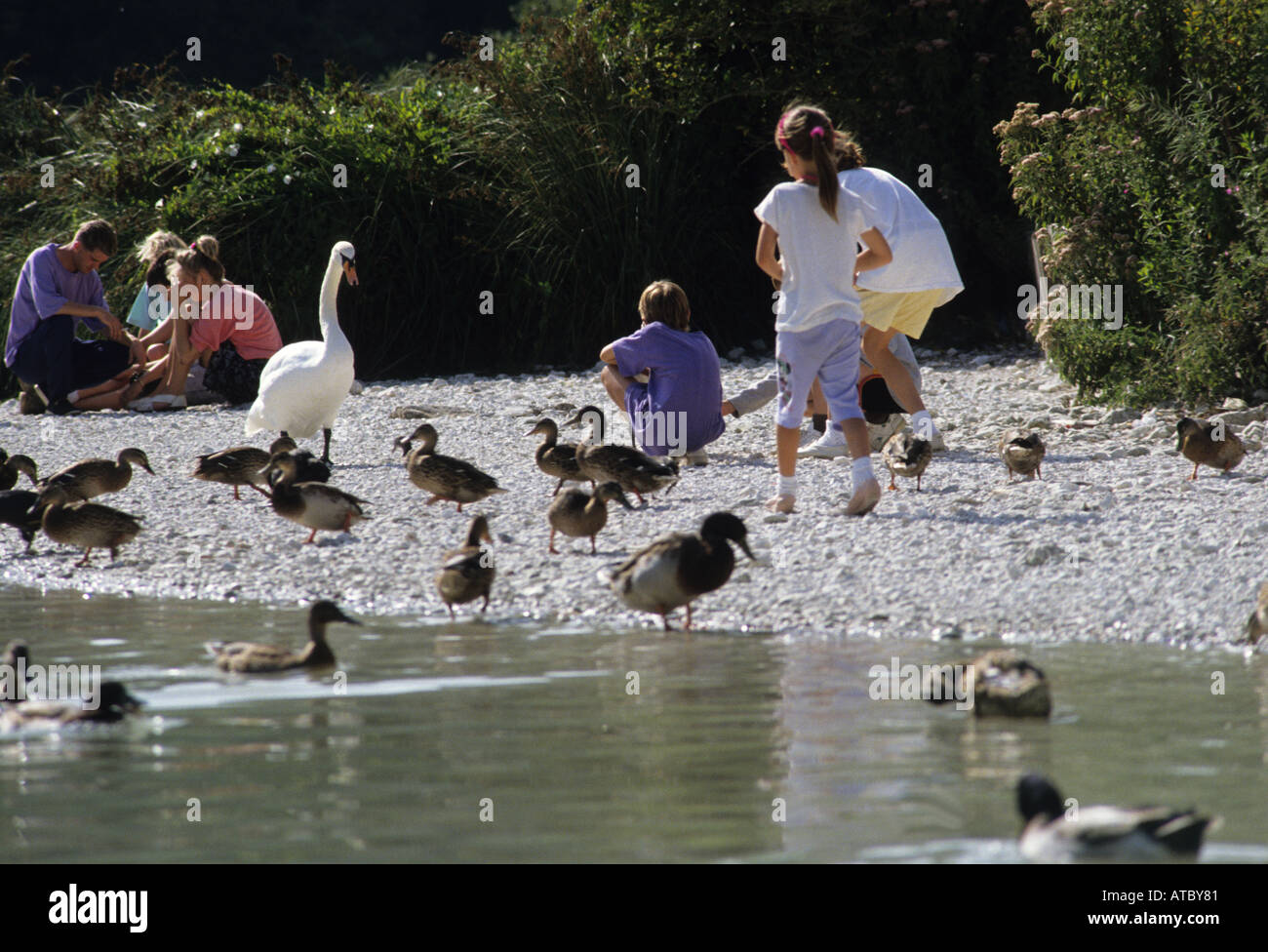 Children enjoy the Bird Sanctuary at Arundel Sussex England UK Stock Photo