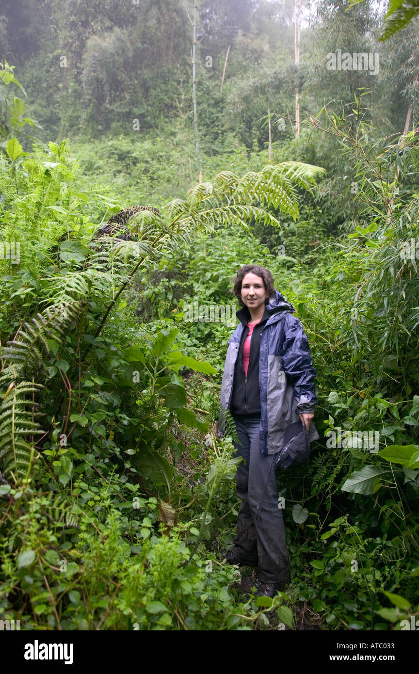 A holidaymaker tracks mountain gorillas in Volcanoes National Park in Rwanda Central Africa Stock Photo