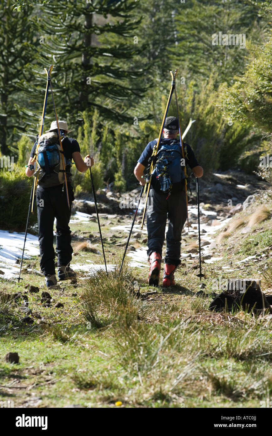 Hikers carrying backpacks and skis, walking in wilderness, rear view Stock Photo Alamy