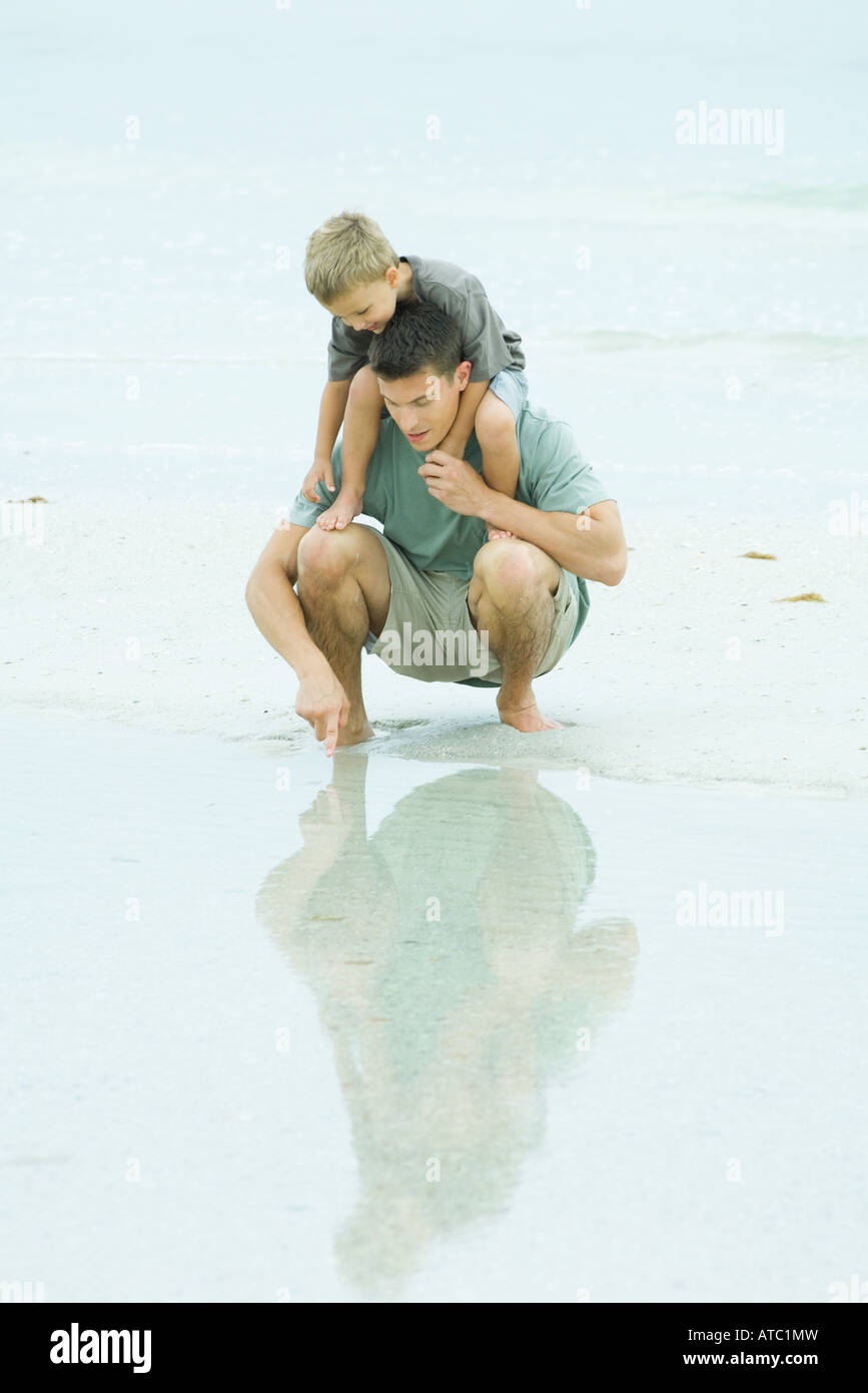 Man crouching at the beach, holding son on shoulders, pointing at shallow water Stock Photo