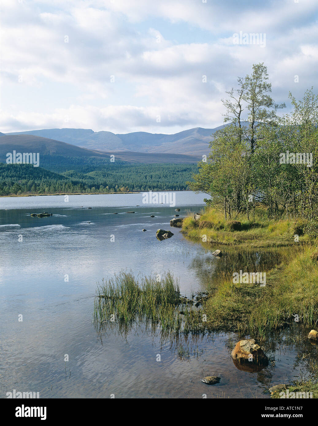 Trees and mountains provide the backdrop to Loch Morlich in the Cairngorms Stock Photo