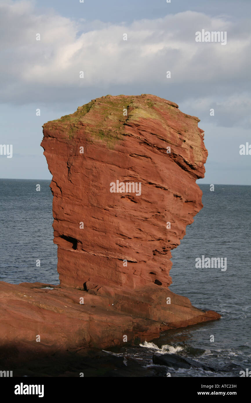 Deil's Heid red sandstone sea stack Angus Scotland February 2008 Stock ...