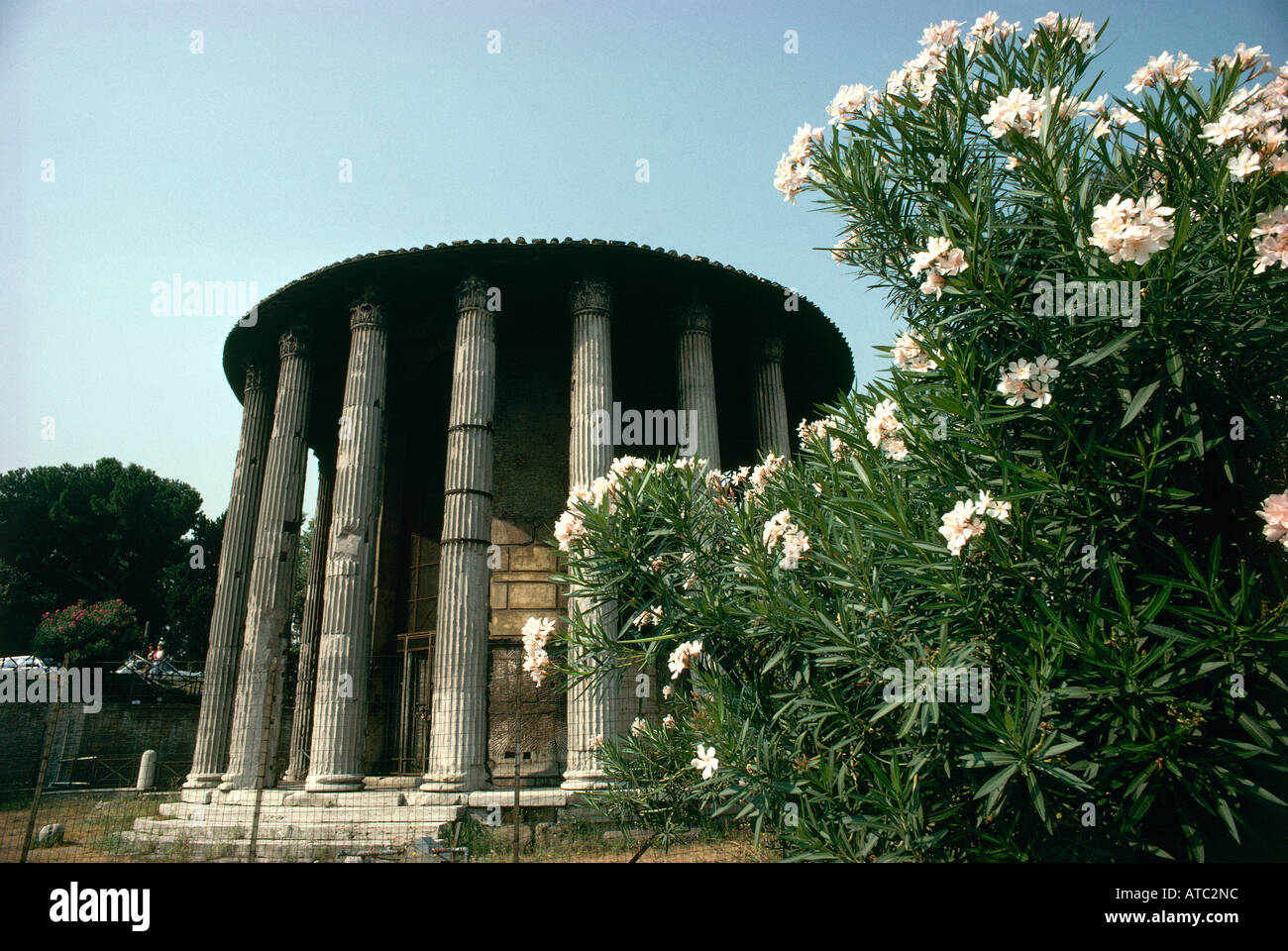 The 2nd century Tempio di Vesta or Temple of the Vestal Virgins is Rome s  oldest surviving marble edifice which was home to the sacred flame Stock  Photo - Alamy