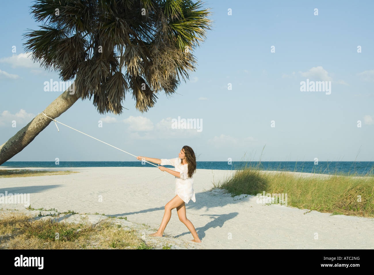 Woman pulling palm tree with rope Stock Photo - Alamy