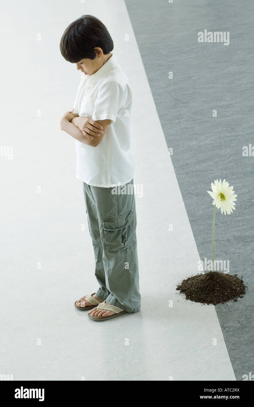 Boy standing with back turned to flower Stock Photo