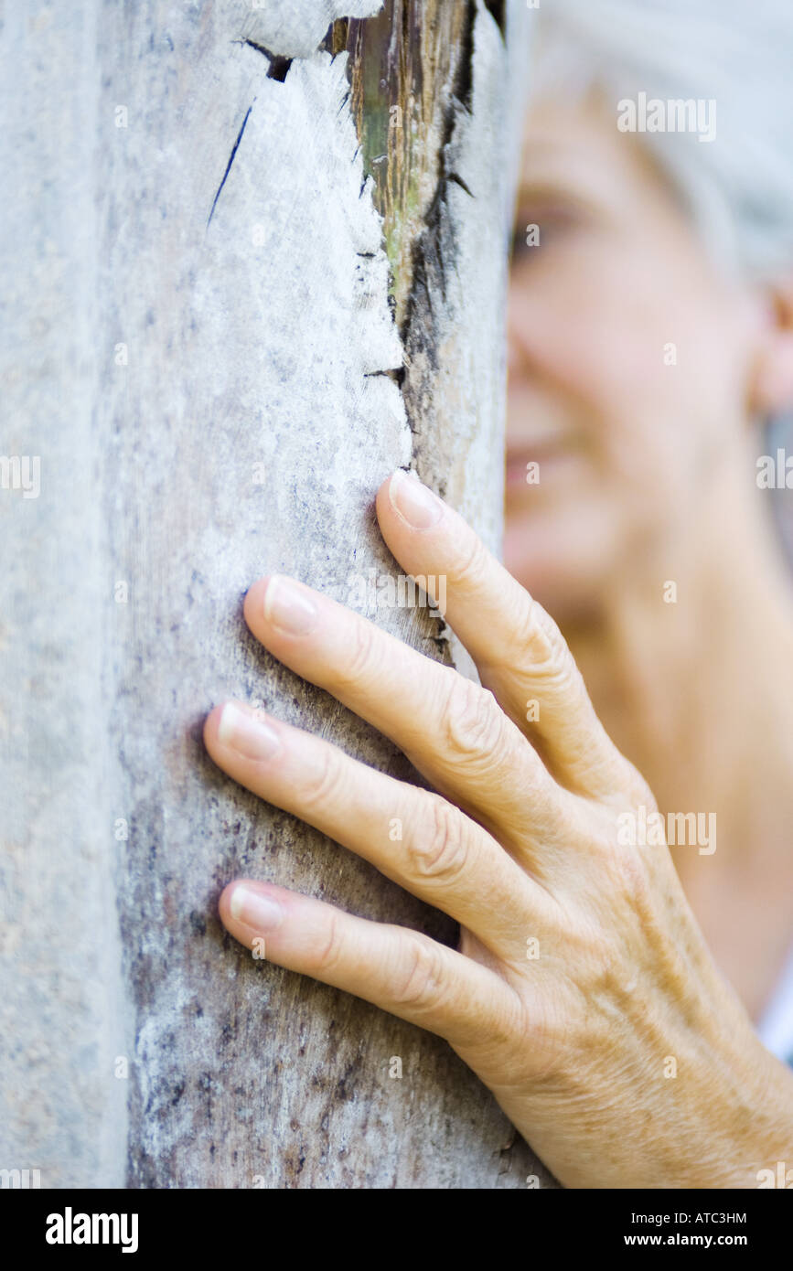 Senior woman touching tree trunk, cropped view, close-up Stock Photo
