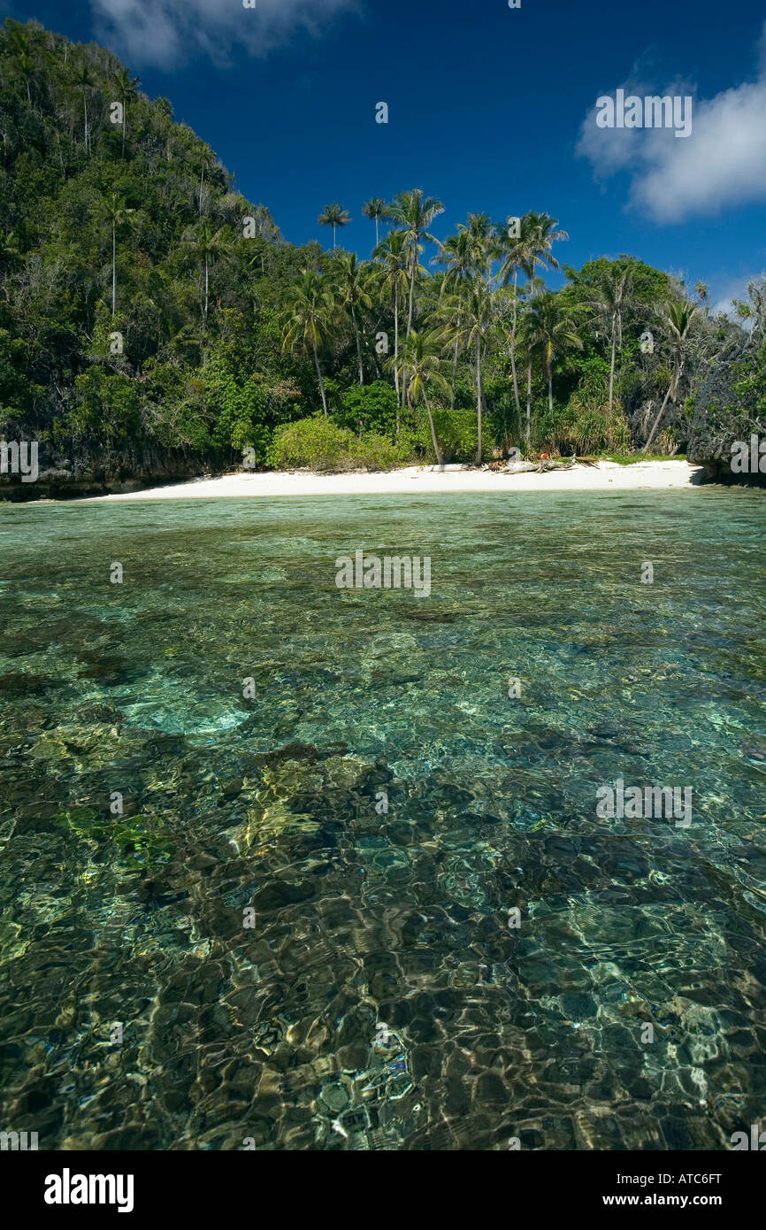 Beach on the Farondi Islands group Misool Raja Ampat Irian Jaya West Papua Pacific Ocean Indonesia Stock Photo
