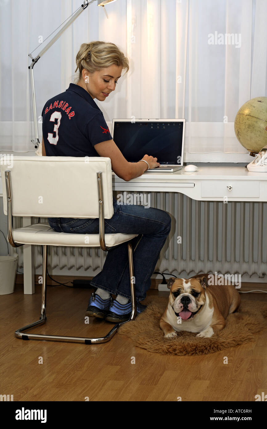 English bulldog (Canis lupus f. familiaris), woman working at the comouter, dog lying next to her Stock Photo