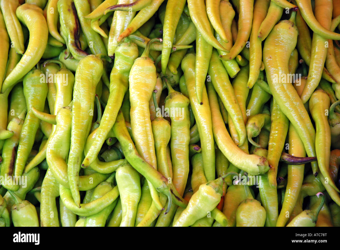 chili pepper, paprika (Capsicum annuum), green pepperoni, Turkey Stock