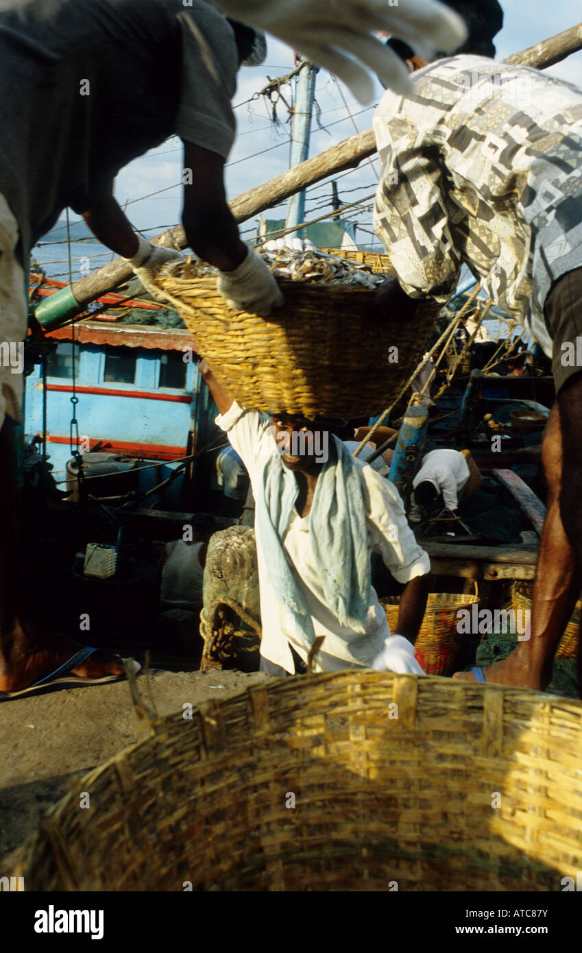 India goa fishing harbour hi-res stock photography and images - Alamy