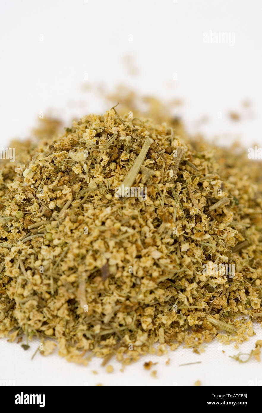 Dried Elder flower Stock Photo - Alamy