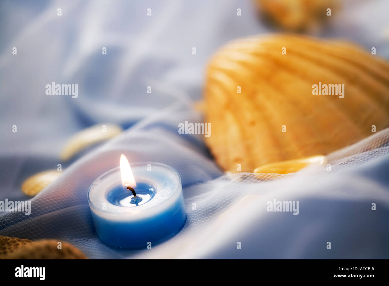 Shell Spa Deco Decors for spa Stock Photo - Alamy