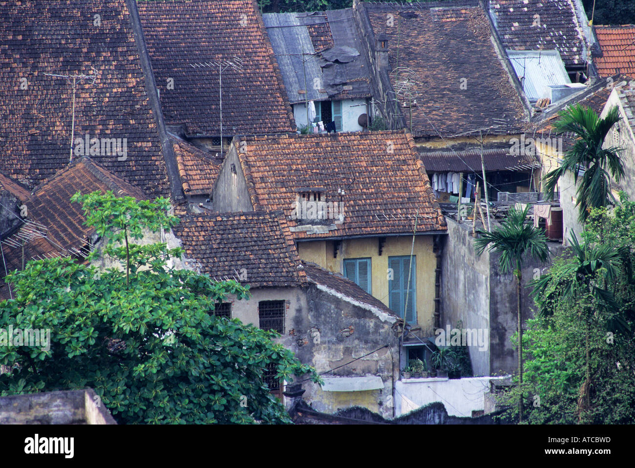 A mass of houses squashed together in Hanoi Stock Photo