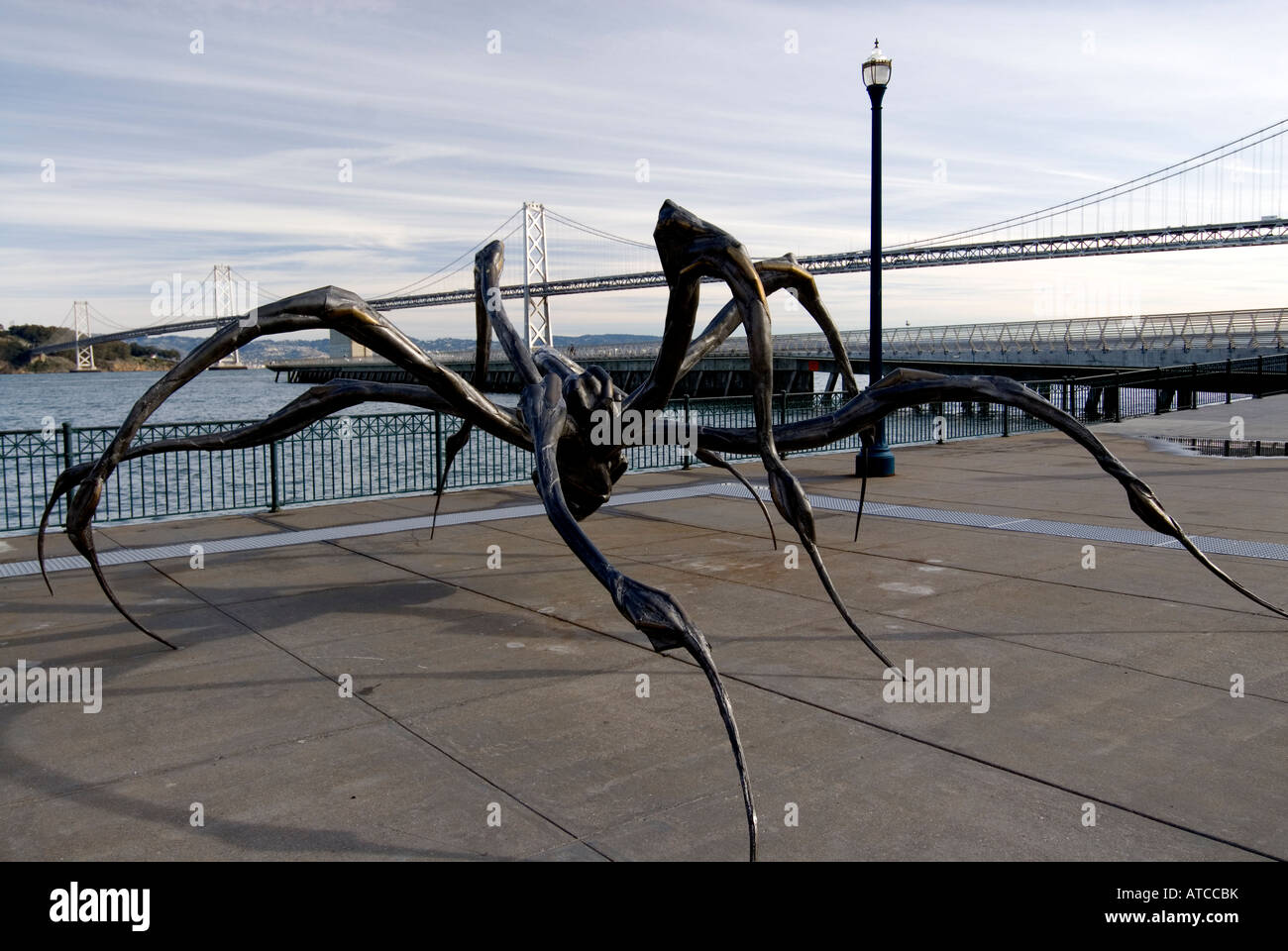 Sculpture Crouching Spider, San Francisco, California Stock Photo