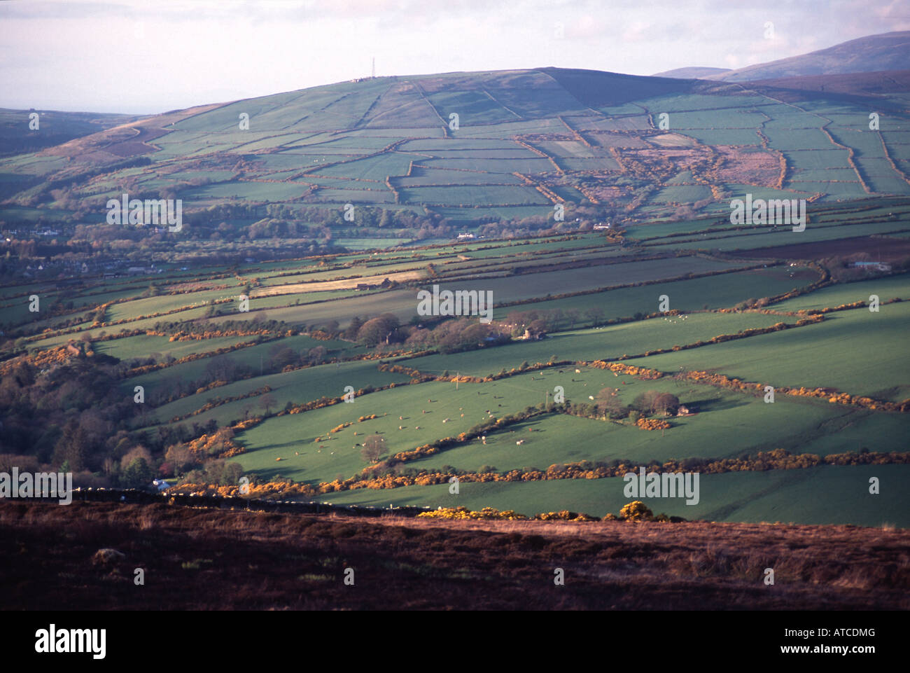 Manx Landscape Hi-res Stock Photography And Images - Alamy