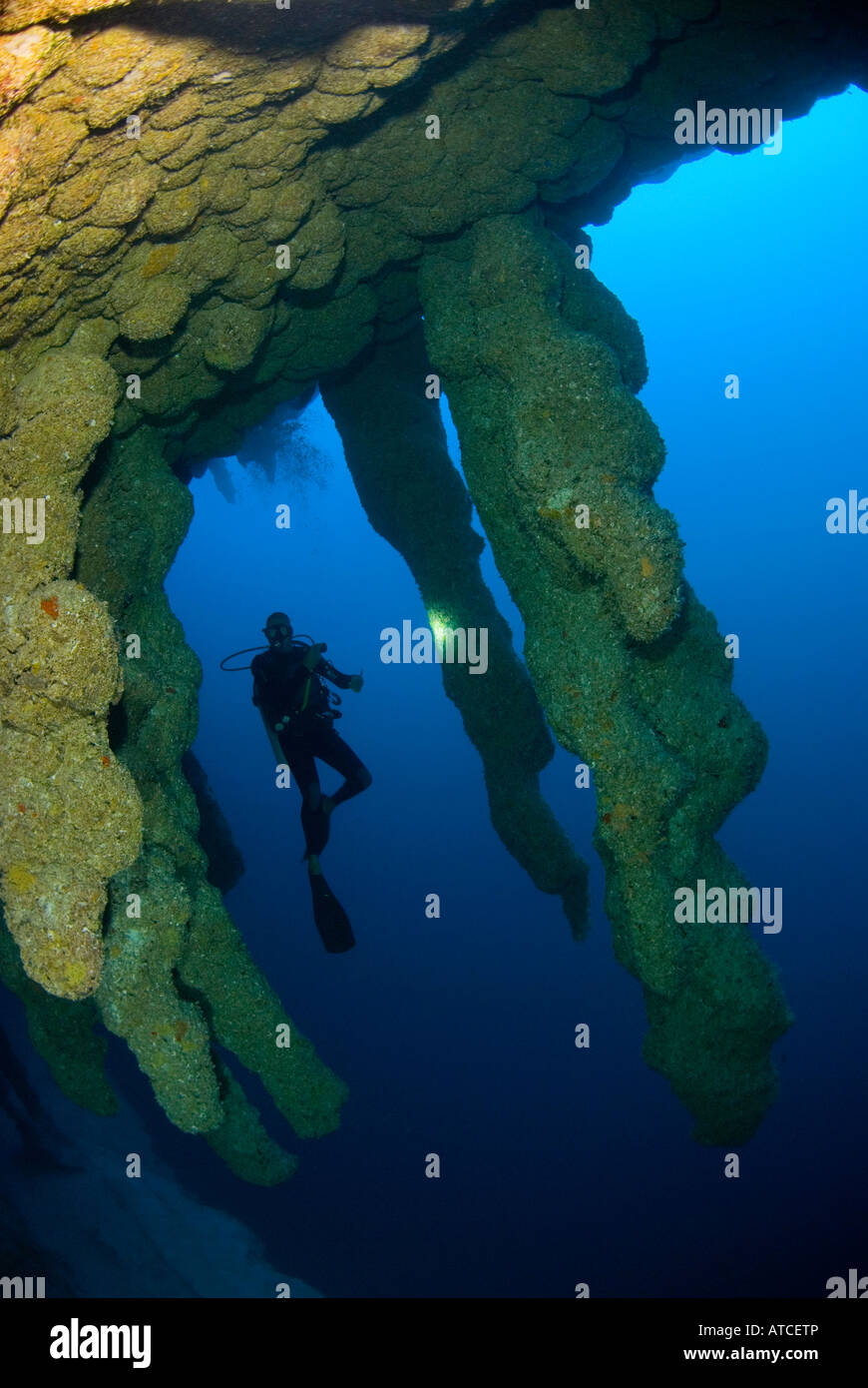 Black Hole Belize Underwater