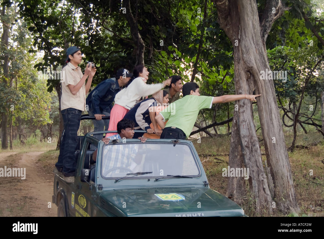 Indian People doing wildlife viewing in Pench National Park Stock Photo