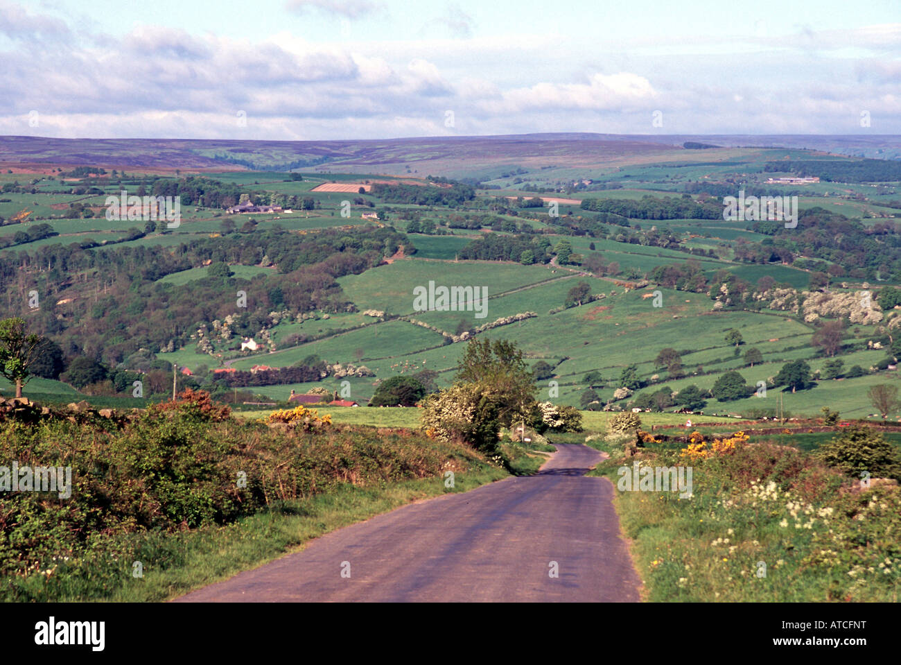 north york moors near goathland narrow country lane viewpoint england