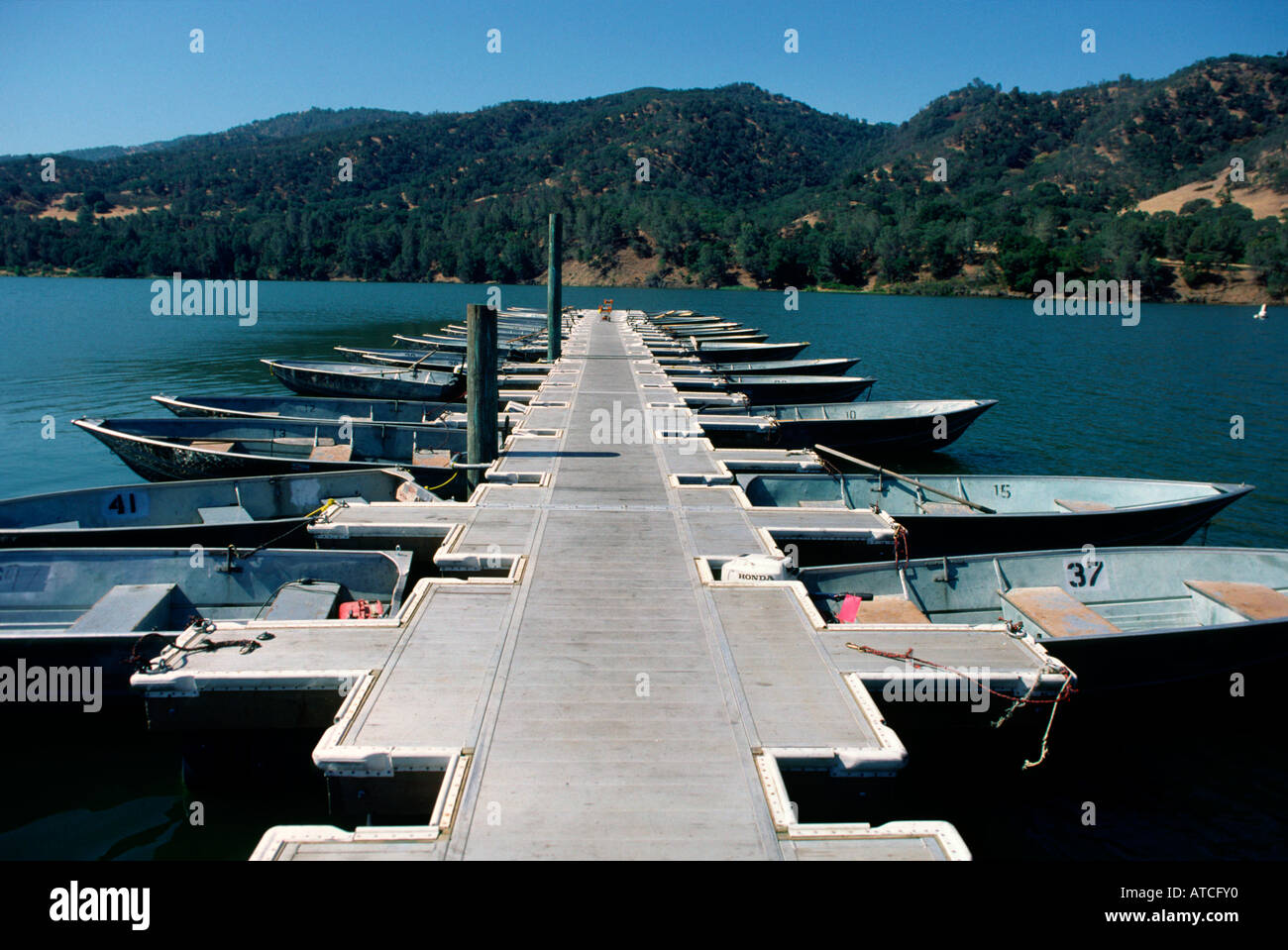 rowboats paddle boats outboard motors and canoes are available for