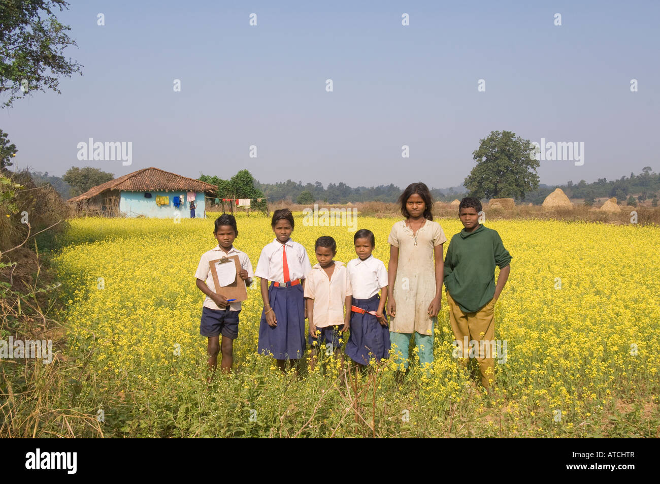 Indian Chldren in a mustard field Stock Photo