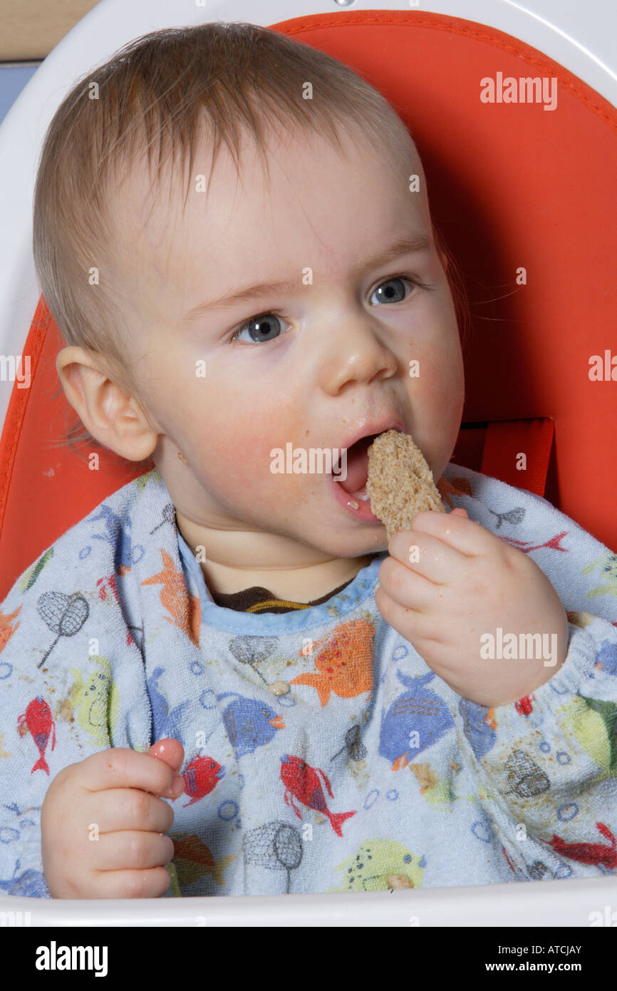 Baby eating toast Stock Photo Alamy